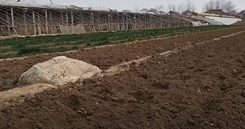 Youtube.com/Peoplesdaily